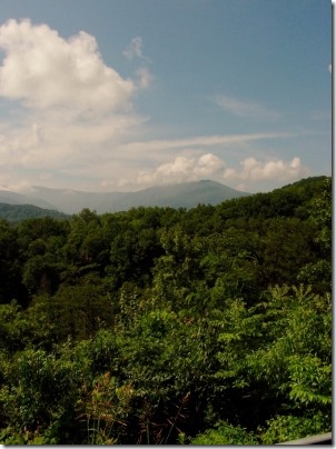 The view from my trip to Great Smoky Mountains National Park