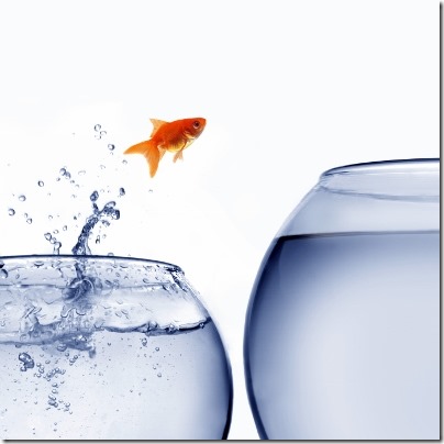 Goldfish Jumping - Change Goldfish Jumping - Change