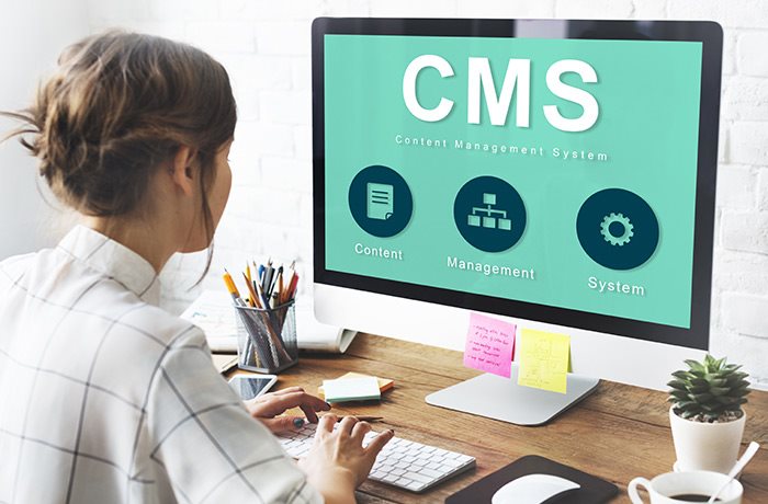 Content Management Systems, CMS