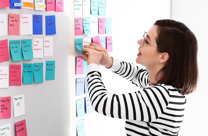 eCommerce Web Development: Agile and Waterfall Methodology